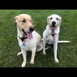 Meet your Posher, Renee